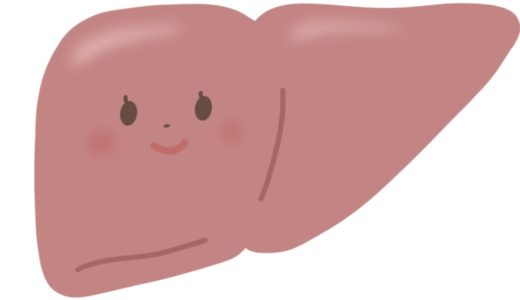 肝臓のしくみ(肝臓の解剖生理)