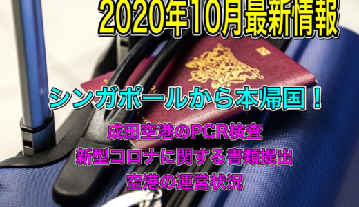 新型コロナ対策中にシンガポールから日本へ帰国【2020年10月情報】